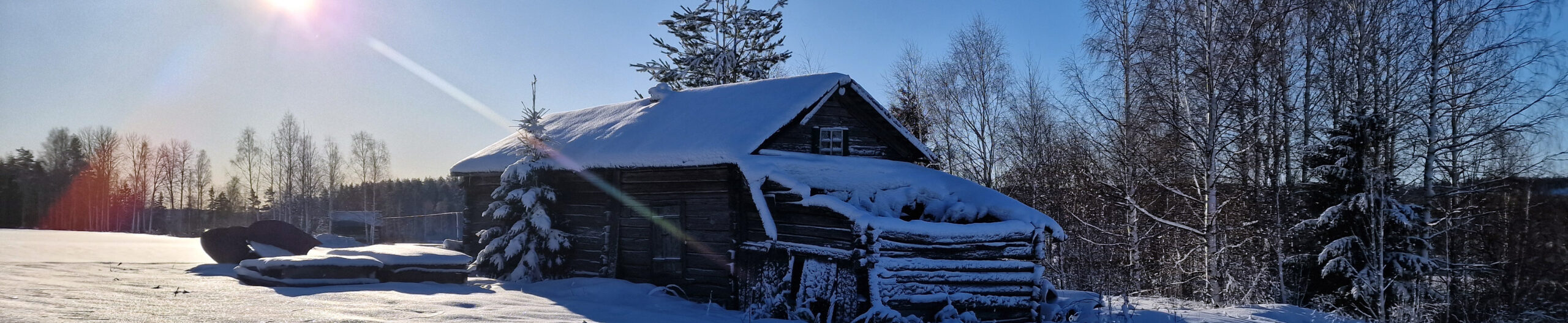 Fallna hus i vinterskrud